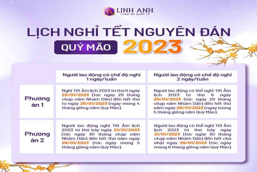 Còn bao nhiêu ngày nữa đến Tết 2023? Tết Quý Mão chuẩn bị gì Chia Sẻ