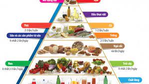 20 Khuyến cáo về chế độ ăn hợp lý sống khỏe đẹp mỗi ngày