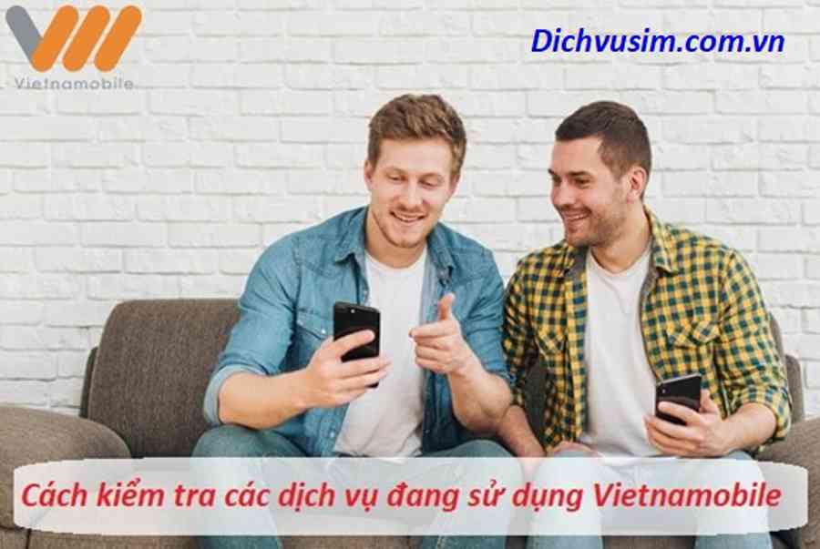 Cách kiểm tra gói Vietnamobile đang dùng - Dịch vụ Sim - Chia Sẻ Kiến Thức Điện Máy Việt Nam