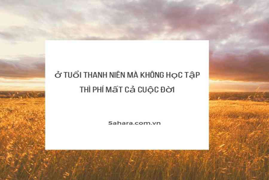 58 Những câu nói hay về học tập giúp bạn có động lực  Book Vietnam