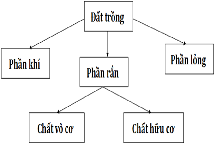 Tổng hợp kiến thức Công nghệ 7 - Chia Sẻ Kiến Thức Điện Máy Việt Nam