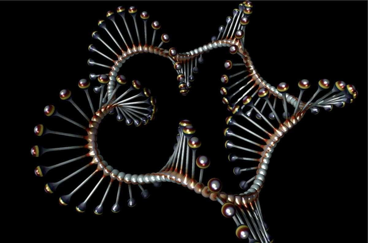 Công nghệ DNA tái tổ hợp là gì? Ví dụ về Công nghệ DNA tái tổ hợp